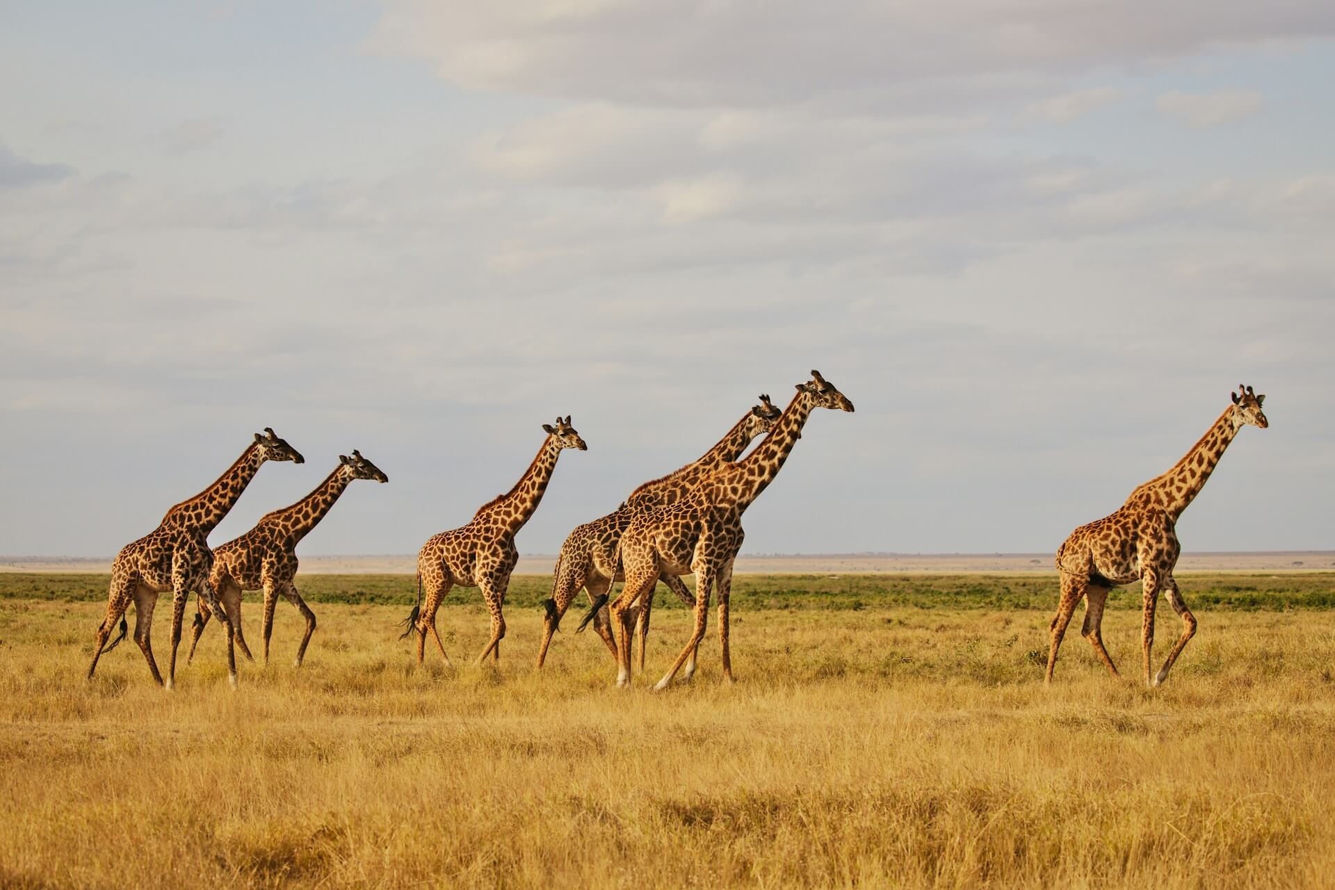 Foto 1 van de gallerij van het land Kenia