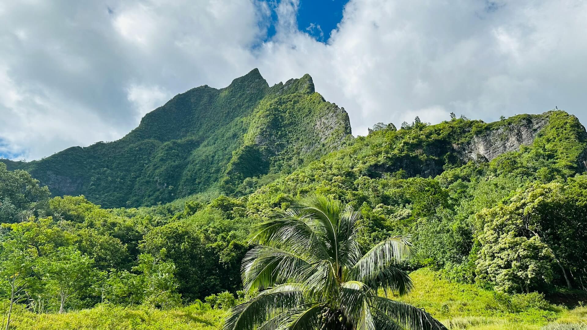 Foto 4 van de gallerij van het land Polynesië