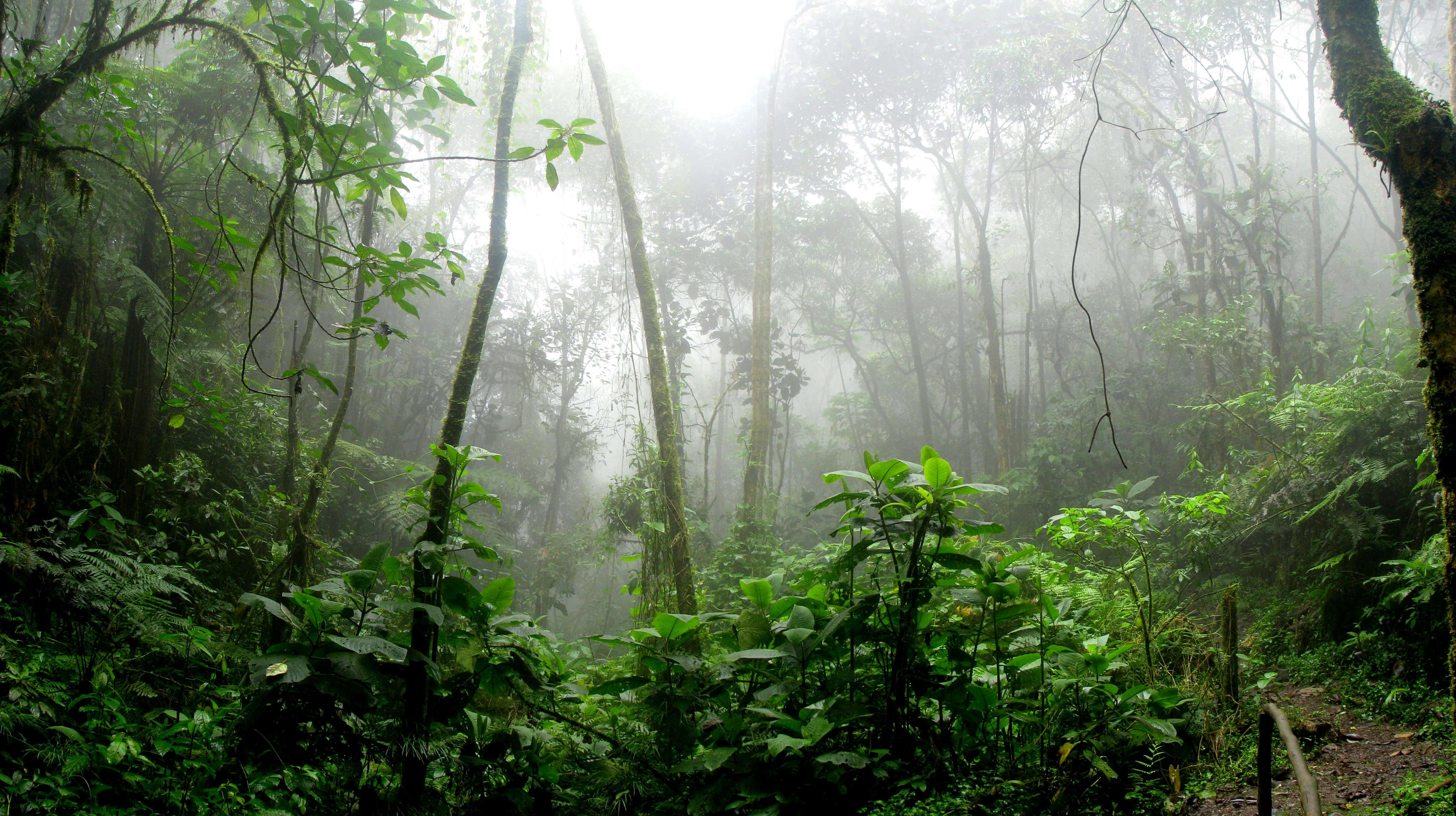 Foto 5 van het land Colombia