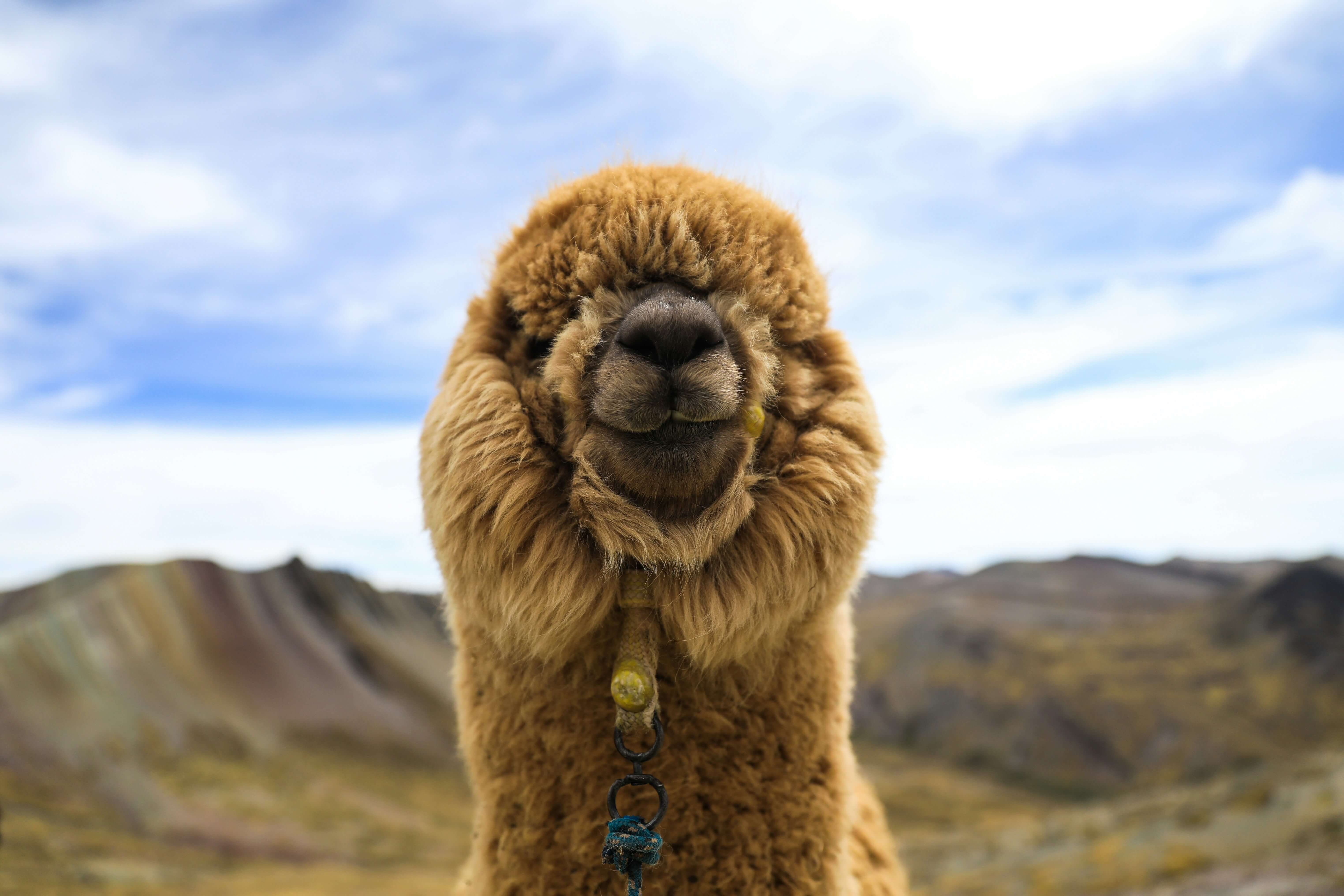 Foto 4 van het land Peru